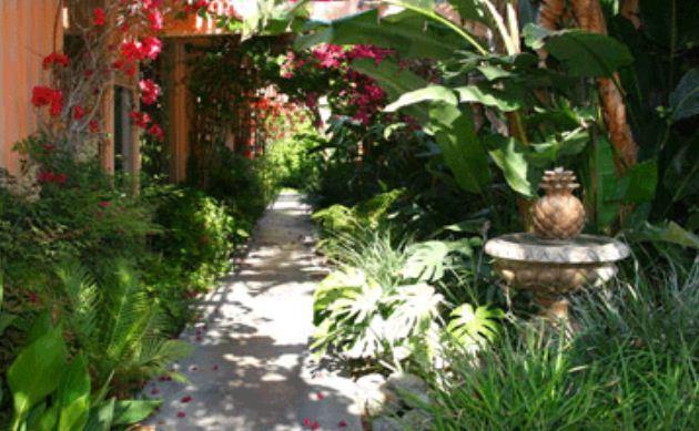 Triangle Inn Clothing Optional Resort For Men Palm Springs Exteriör bild